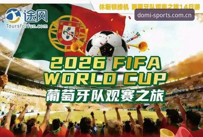 世界杯观赛受阻？多米体育官网带你了解签证难题与解决方案